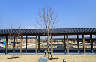 平城宮跡歴史公園（朱雀大路西側地区）植栽工事